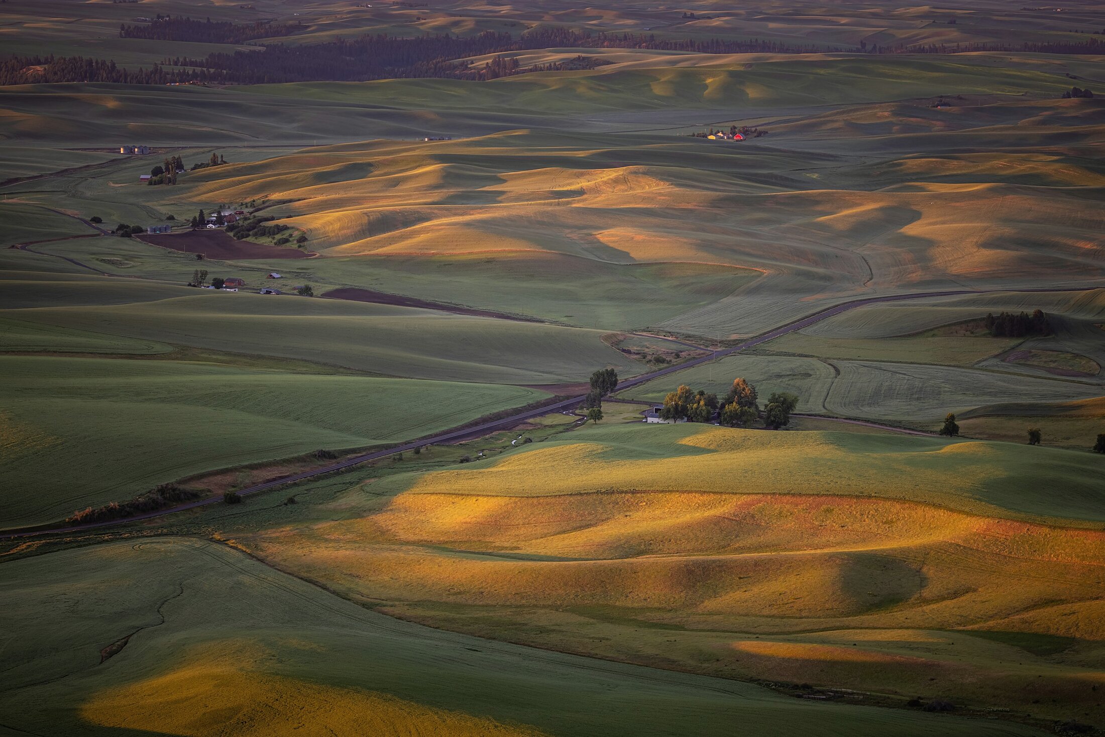 Golden evening light over green rolling farmland